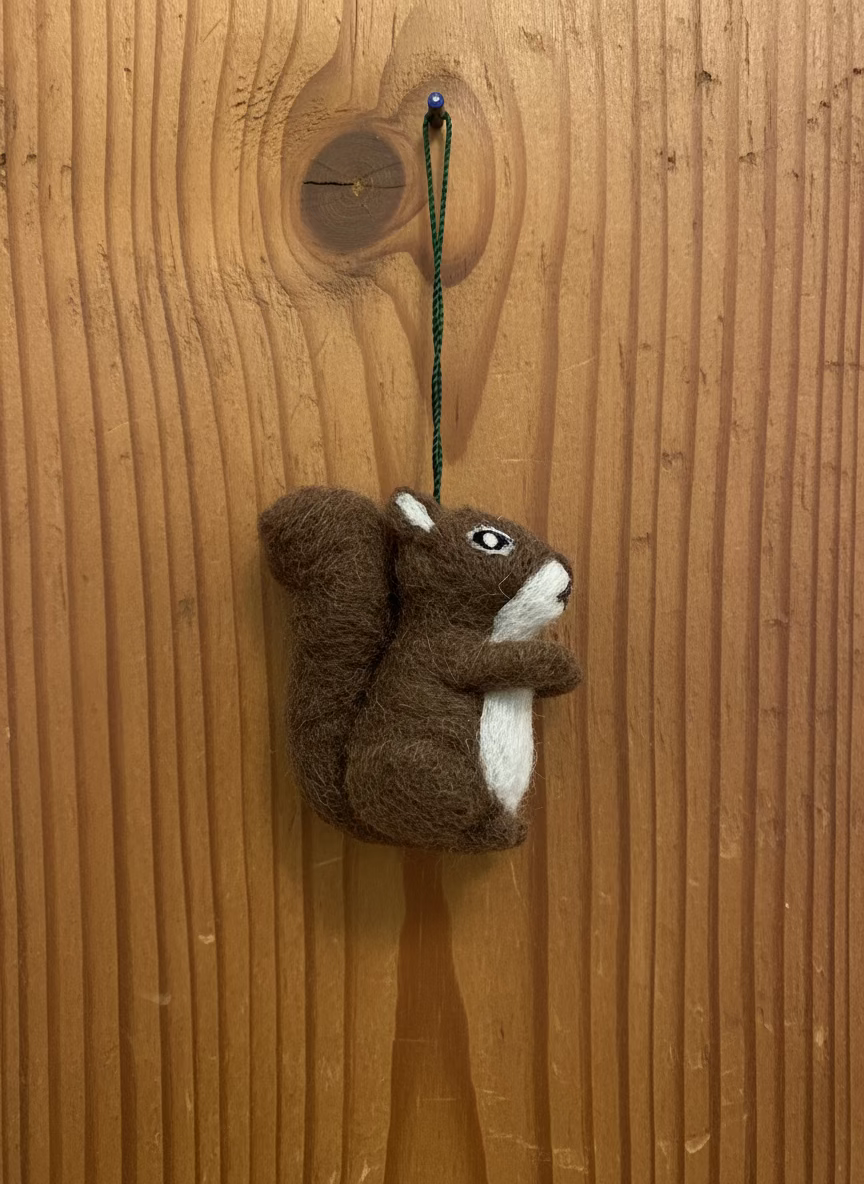 Squirrel