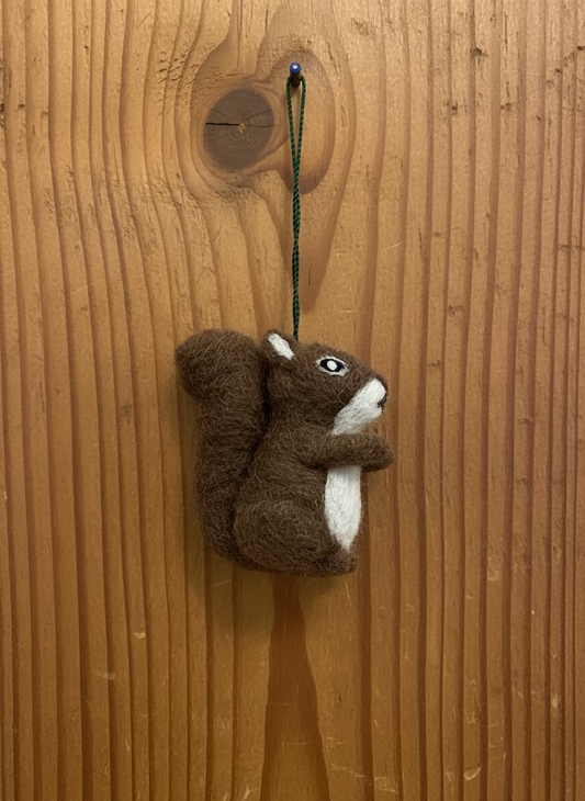Squirrel